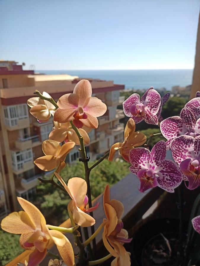 Sweet Home Benalmadena, Estudio Con Vistas Al Mar Y Excelente Conexion Wifi, Para No Fumadores, Con Piscinas, Sea Views, With Swimming Pools, Completely Renovated, Ideal For Older People, Bright With Morning Sun, No Smoking Экстерьер фото